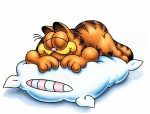 garfield%20sleeping garfield%20sleeping