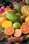 ars_tropical_fruit_no_labels