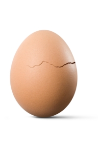 cracked egg 2